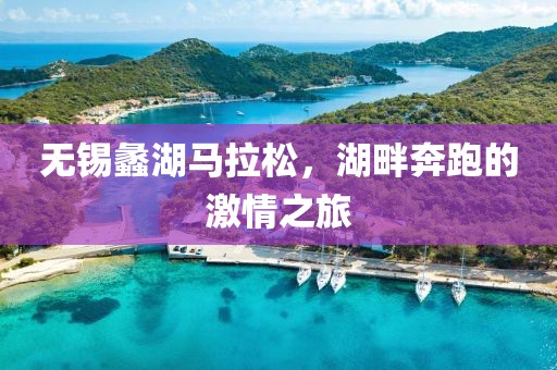 无锡蠡湖马拉松，湖畔奔跑的激情之旅