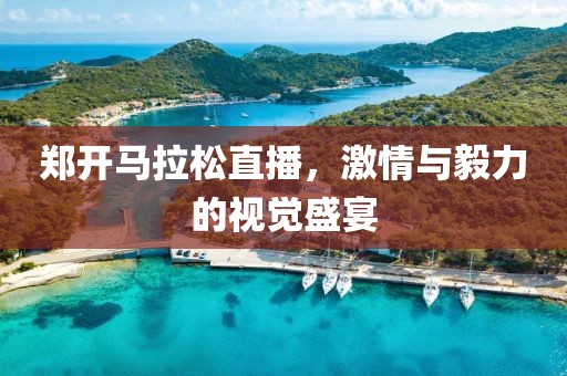 郑开马拉松直播，激情与毅力的视觉盛宴