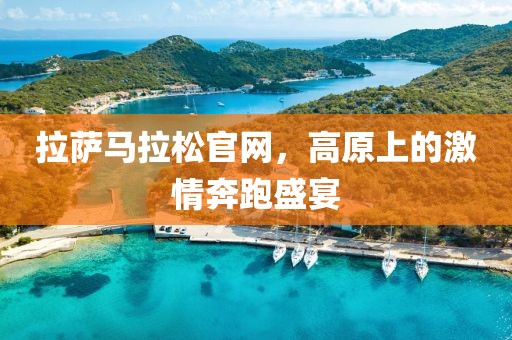 拉萨马拉松官网，高原上的激情奔跑盛宴