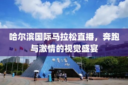 哈尔滨国际马拉松直播，奔跑与激情的视觉盛宴