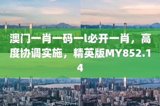 澳门一肖一码一l必开一肖，高度协调实施，精英版MY852.14