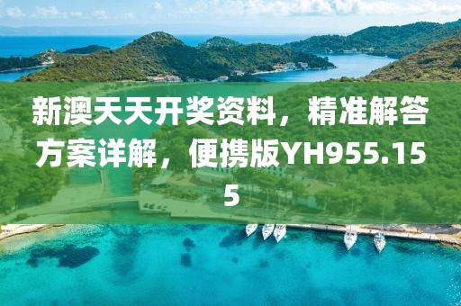 新澳天天开奖资料，精准解答方案详解，便携版YH955.155