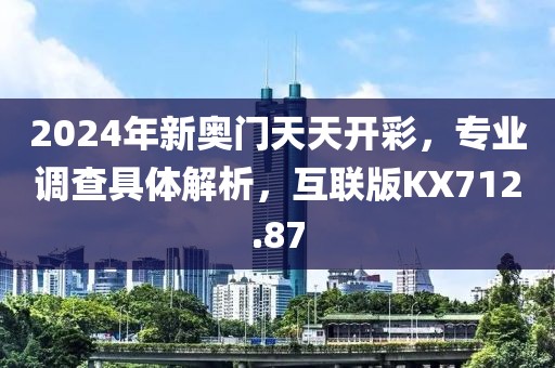 2024年新奥门天天开彩，专业调查具体解析，互联版KX712.87