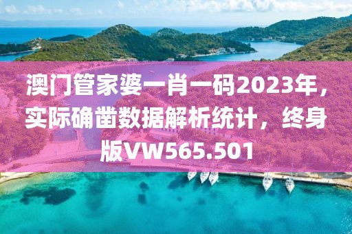 澳门管家婆一肖一码2023年，实际确凿数据解析统计，终身版VW565.501