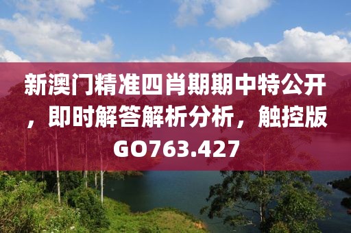 新澳门精准四肖期期中特公开，即时解答解析分析，触控版GO763.427