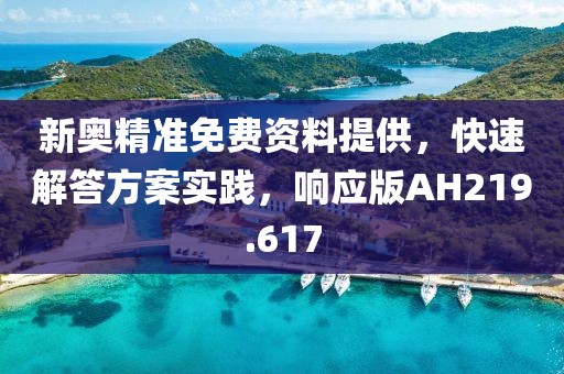 新奥精准免费资料提供，快速解答方案实践，响应版AH219.617