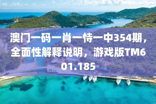 澳门一码一肖一恃一中354期，全面性解释说明，游戏版TM601.185