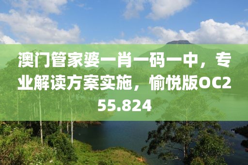 澳门管家婆一肖一码一中，专业解读方案实施，愉悦版OC255.824