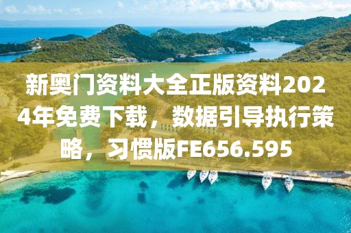新奥门资料大全正版资料2024年免费下载，数据引导执行策略，习惯版FE656.595