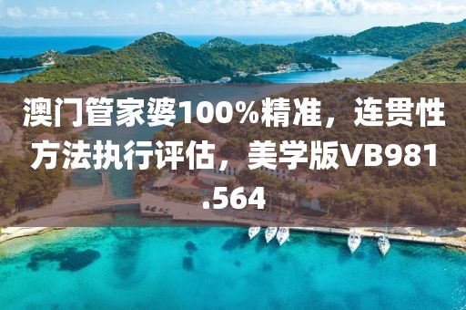 澳门管家婆100%精准，连贯性方法执行评估，美学版VB981.564