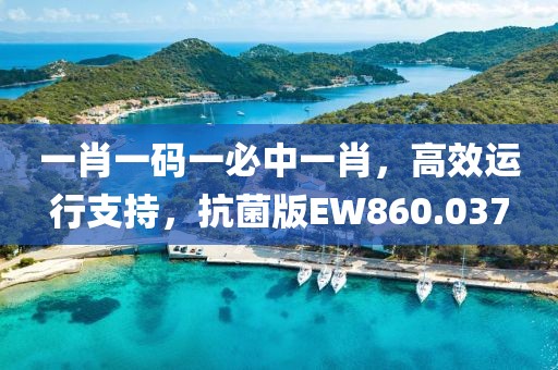一肖一码一必中一肖，高效运行支持，抗菌版EW860.037