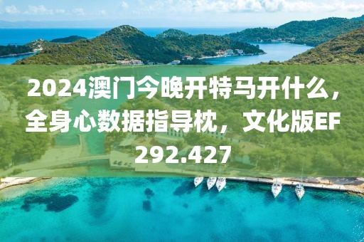 2024澳门今晚开特马开什么，全身心数据指导枕，文化版EF292.427