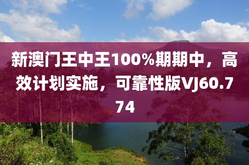新澳门王中王100%期期中，高效计划实施，可靠性版VJ60.774