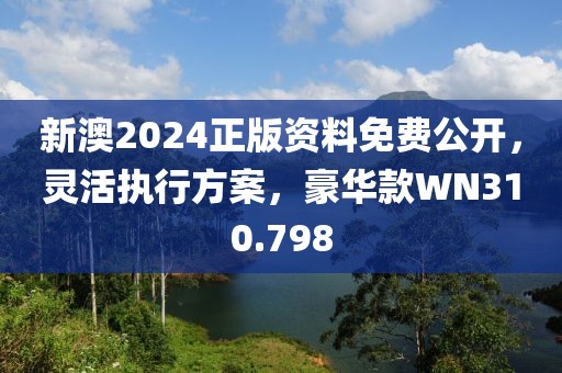 新澳2024正版资料免费公开，灵活执行方案，豪华款WN310.798