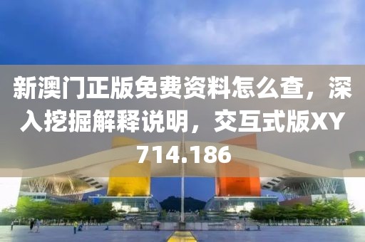 新澳门正版免费资料怎么查，深入挖掘解释说明，交互式版XY714.186