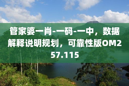 管家婆一肖-一码-一中，数据解释说明规划，可靠性版OM257.115