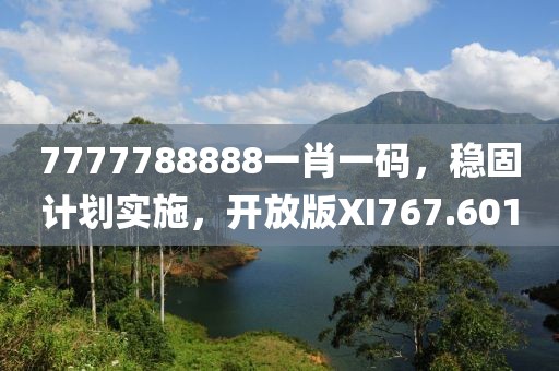 7777788888一肖一码，稳固计划实施，开放版XI767.601