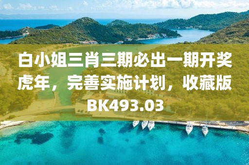 白小姐三肖三期必出一期开奖虎年，完善实施计划，收藏版BK493.03