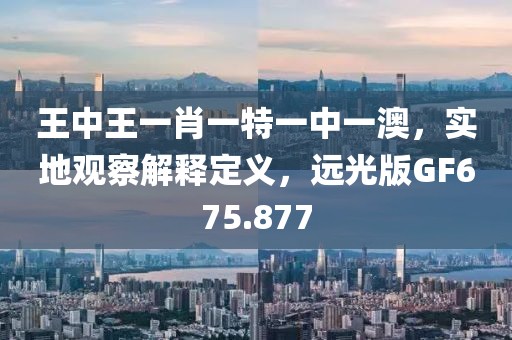 王中王一肖一特一中一澳，实地观察解释定义，远光版GF675.877