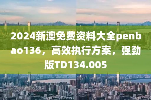 2024新澳免费资料大全penbao136，高效执行方案，强劲版TD134.005