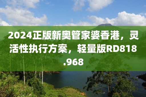 2024正版新奥管家婆香港，灵活性执行方案，轻量版RD818.968