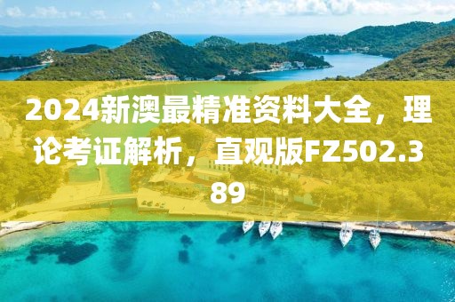 2024新澳最精准资料大全，理论考证解析，直观版FZ502.389