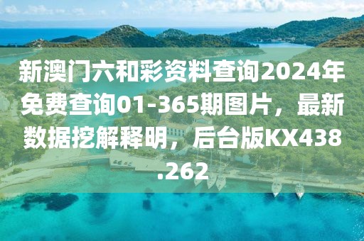 新澳门六和彩资料查询2024年免费查询01-365期图片，最新数据挖解释明，后台版KX438.262