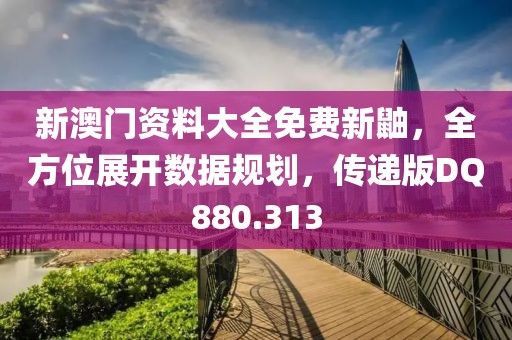 新澳门资料大全免费新鼬，全方位展开数据规划，传递版DQ880.313