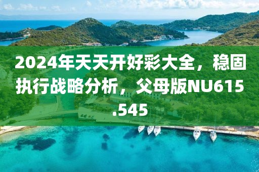 2024年天天开好彩大全，稳固执行战略分析，父母版NU615.545