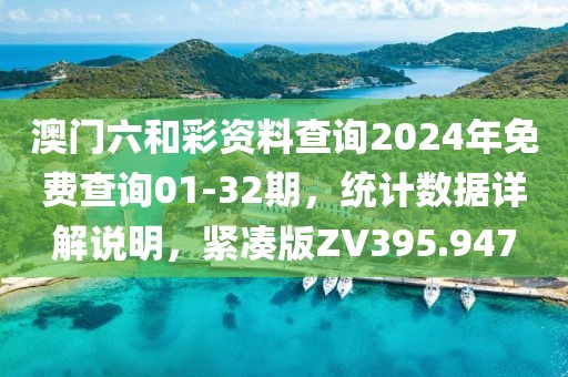 澳门六和彩资料查询2024年免费查询01-32期，统计数据详解说明，紧凑版ZV395.947