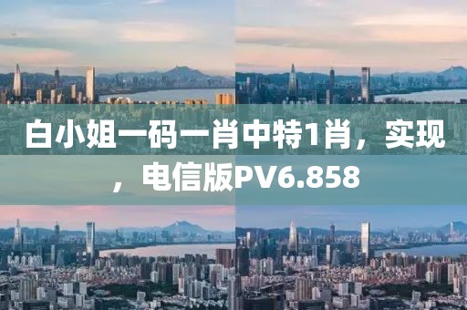 白小姐一码一肖中特1肖，实现，电信版PV6.858