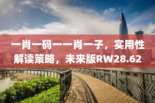 一肖一码一一肖一子，实用性解读策略，未来版RW28.62