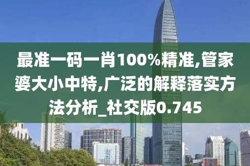 最准一码一肖100%精准,管家婆大小中特,广泛的解释落实方法分析_社交版0.745
