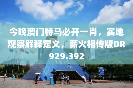 今晚澳门特马必开一肖，实地观察解释定义，薪火相传版DR929.392