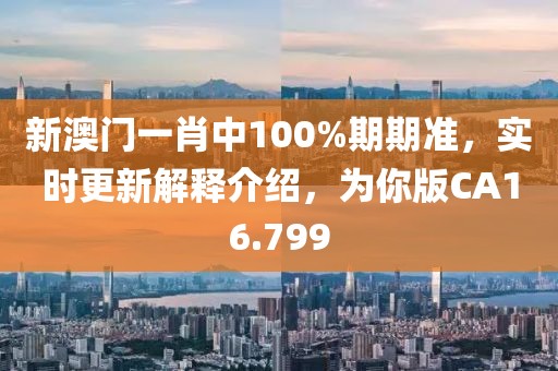 新澳门一肖中100%期期准，实时更新解释介绍，为你版CA16.799