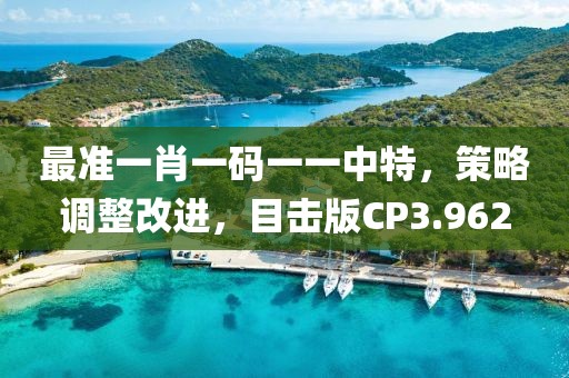最准一肖一码一一中特，策略调整改进，目击版CP3.962