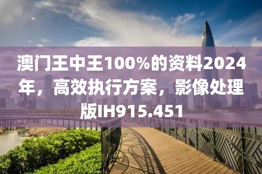 澳门王中王100%的资料2024年，高效执行方案，影像处理版IH915.451