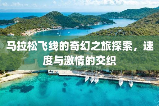 2024年11月 第537页