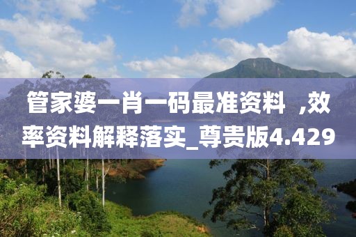 管家婆一肖一码最准资料  ,效率资料解释落实_尊贵版4.429