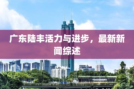 广东陆丰活力与进步，最新新闻综述