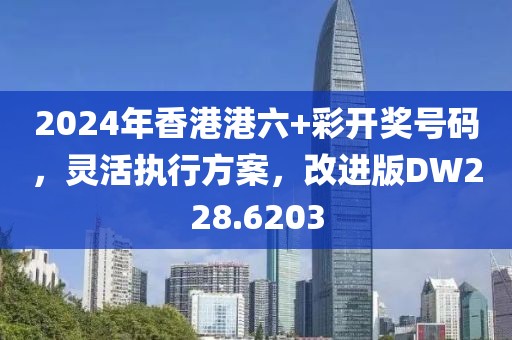 2024年香港港六+彩开奖号码，灵活执行方案，改进版DW228.6203