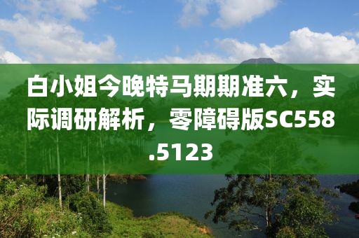 白小姐今晚特马期期准六，实际调研解析，零障碍版SC558.5123