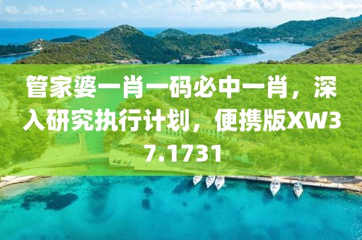 管家婆一肖一码必中一肖，深入研究执行计划，便携版XW37.1731