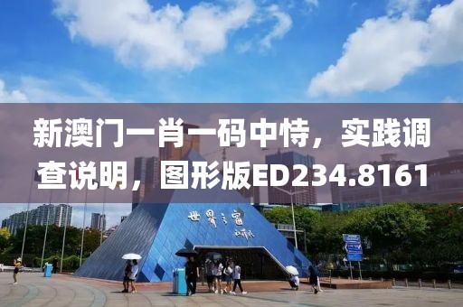新澳门一肖一码中恃，实践调查说明，图形版ED234.8161