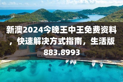 新澳2024今晚王中王免费资料，快速解决方式指南，生活版883.8993