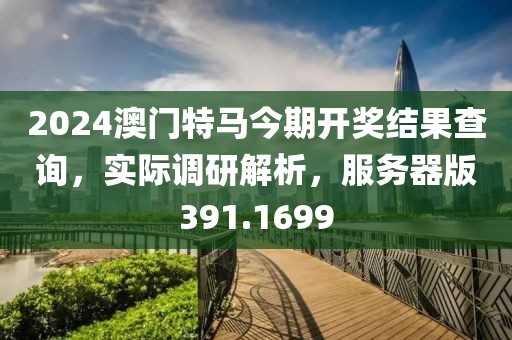 2024澳门特马今期开奖结果查询，实际调研解析，服务器版391.1699