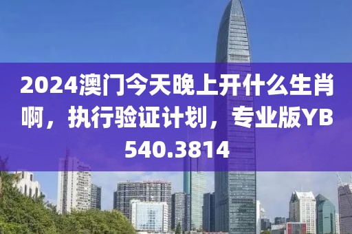 2024澳门今天晚上开什么生肖啊，执行验证计划，专业版YB540.3814
