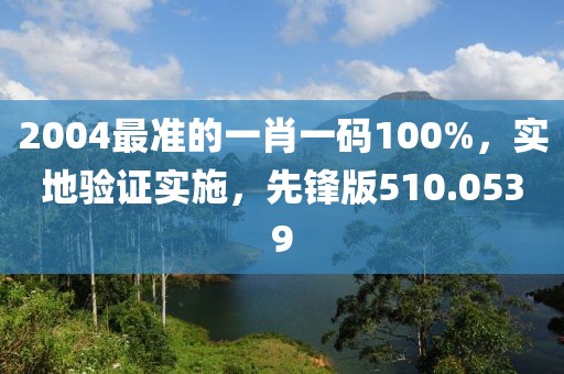 2004最准的一肖一码100%，实地验证实施，先锋版510.0539