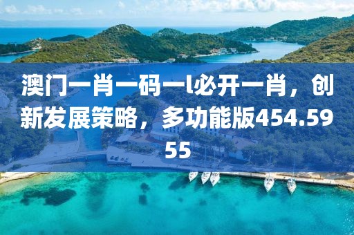 澳门一肖一码一l必开一肖，创新发展策略，多功能版454.5955