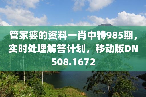 管家婆的资料一肖中特985期，实时处理解答计划，移动版DN508.1672